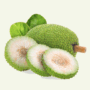 Breadfruit Jamaica/D.R.