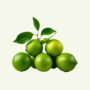 Limes